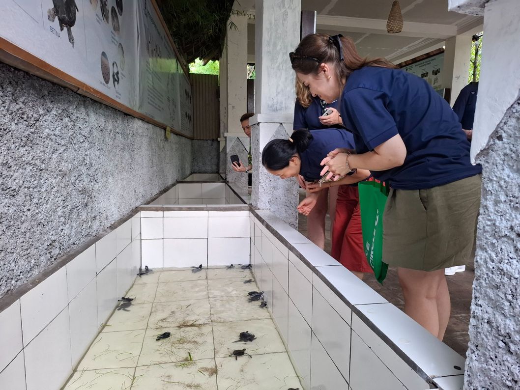 Visitors looking at the hatchling pools with a guide
