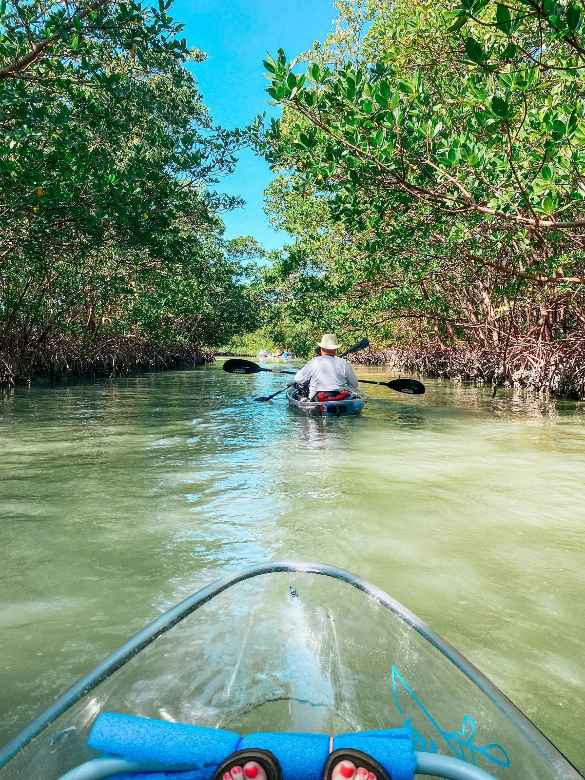 Kayaks gliding along a channel under the mangrove canopy