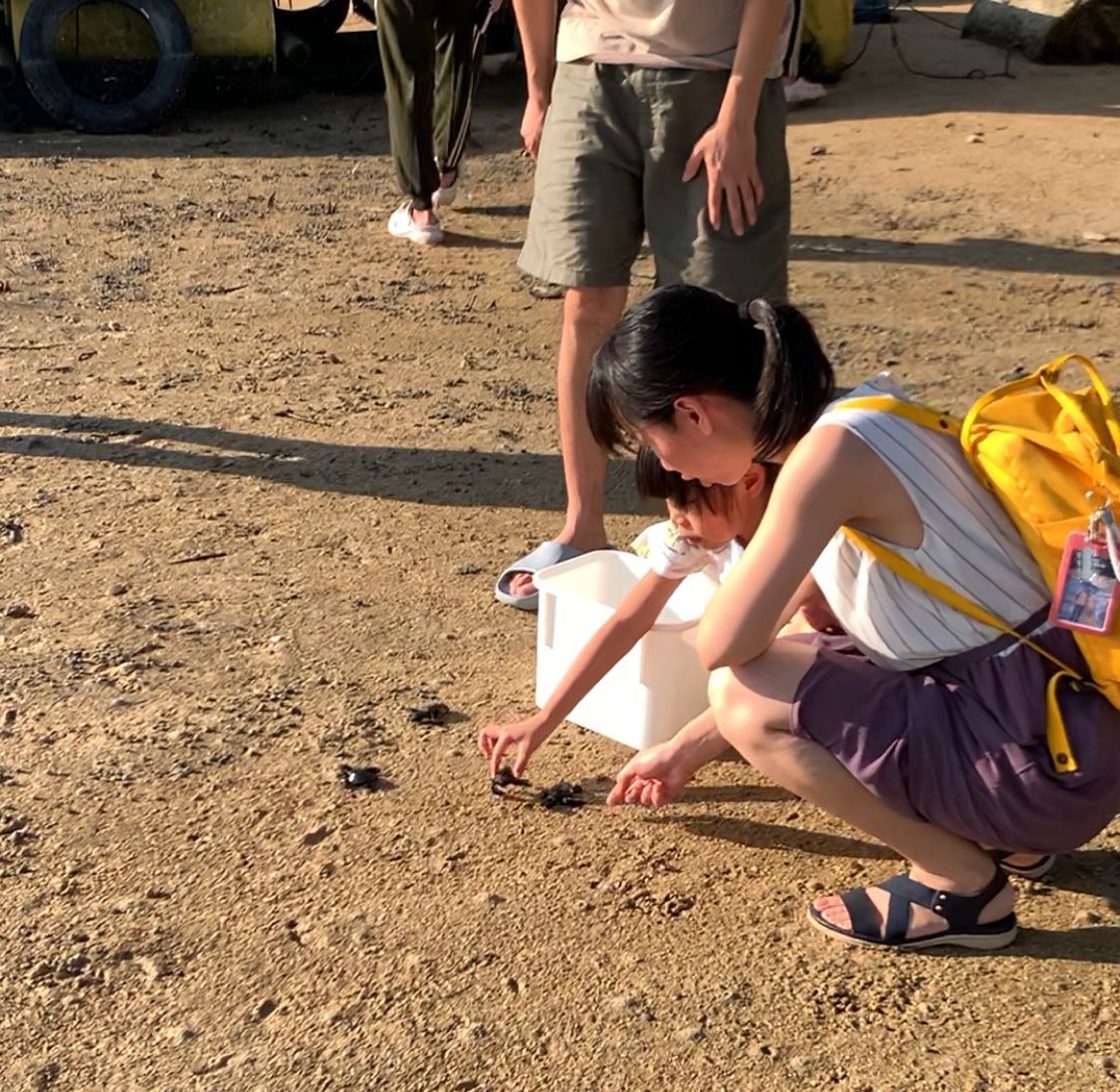 A child placing a hatchling on the sand during a release